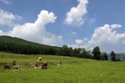 赤峰到安慶溝鎮(zhèn)拼車電話號碼
