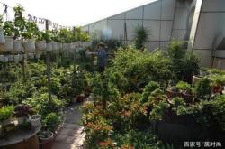 赤峰花圃市場地址電話是多少號