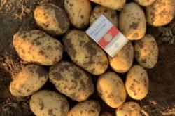 赤峰林西木材市場(chǎng)地址電話號(hào)碼