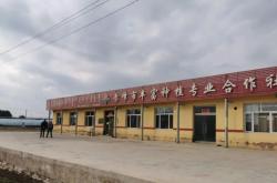 赤峰大北農飼料直銷店電話號碼