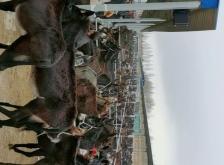 赤峰市敖漢旗供電局電話號(hào)碼