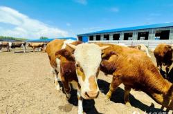 赤峰林西縣防水公司電話號(hào)碼