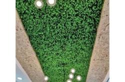 赤峰仿真草皮經(jīng)銷(xiāo)商電話(huà)號(hào)碼