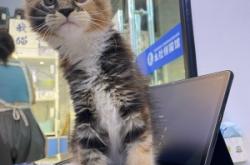 赤峰寵物店聯系方式電話號碼