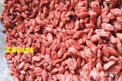 赤峰黑枸杞加工廠電話號(hào)碼