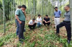 赤峰林業(yè)局局長(zhǎng)