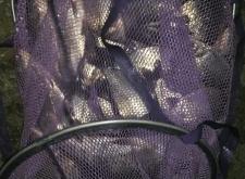 赤峰黑坑魚(yú)回收電話號(hào)碼查詢(xún)