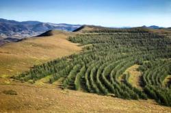 赤峰天暢網(wǎng)咖電話(huà)號(hào)碼查詢(xún)