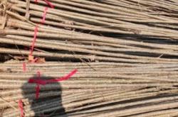 內(nèi)蒙古赤峰種植基地電話號(hào)碼