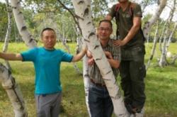 西烏旗到赤峰的汽車電話是多少