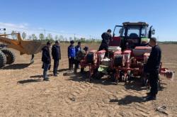 赤峰包谷種子銷售電話是多少號(hào)