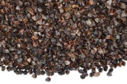 赤峰黑蕎麥枕頭專賣店電話號(hào)碼