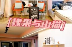 赤峰橋北丟貓電話多少號(hào)