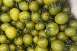 赤峰大柿子批發(fā)市場電話號碼