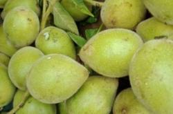 赤峰松山區(qū)雜貨店電話號碼