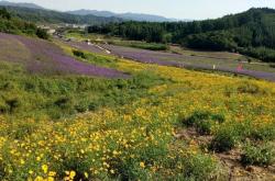 赤峰花海雪園游樂園電話號碼