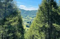 赤峰美林谷滑雪團(tuán)電話號碼多少