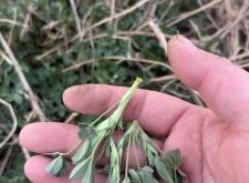 赤峰隴鑫網(wǎng)吧電話多少號(hào)碼