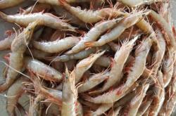 赤峰楊樹口蘑批發(fā)市場(chǎng)電話號(hào)碼