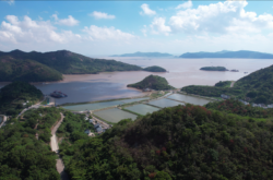 赤峰魚塘度假村電話號碼查詢