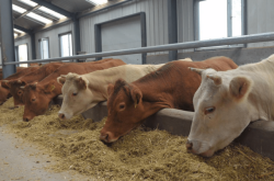 內(nèi)蒙古赤峰市扶貧電話號(hào)碼