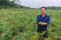 赤峰塔子辣椒種植基地電話號(hào)碼