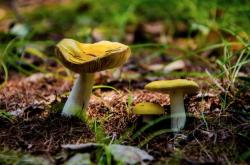 赤峰山貨交易市場(chǎng)地址電話號(hào)碼