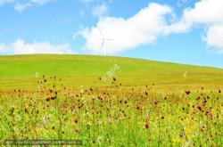 赤峰草原精品酒店電話多少號(hào)