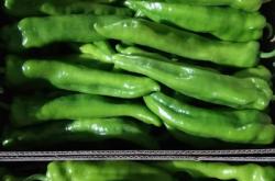 赤峰小張蔬菜批發(fā)電話號碼查詢