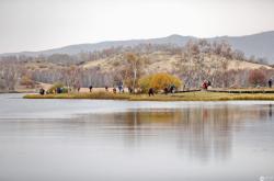 赤峰斯托納經(jīng)銷商電話地址查詢