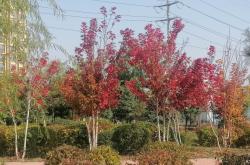 赤峰平莊韓振生診所電話(huà)號(hào)碼