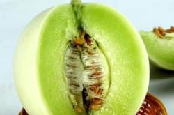 赤峰市批發(fā)香瓜電話號碼查詢