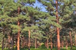 赤峰動物園橋北店電話號碼