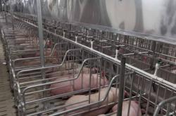 赤峰市牧原農(nóng)牧公司電話號碼