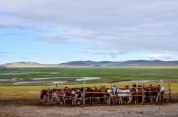 赤峰魔豆童裝店電話地址查詢