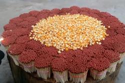 赤峰市燒火柴批發(fā)電話(huà)號(hào)碼