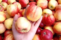 赤峰桃喜童裝店地址電話號(hào)碼