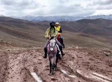 赤峰樂馭馬術(shù)館電話多少號(hào)