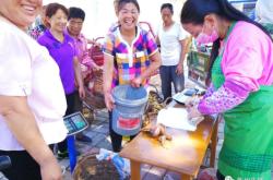 赤峰笨狗養(yǎng)殖場地址電話號碼