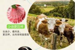 赤峰正大牛羊飼料廠電話號(hào)碼