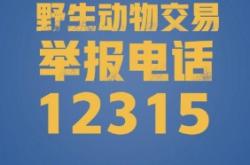 赤峰市招標(biāo)舉報電話是多少