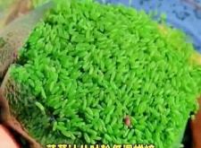 赤峰綠竹抖音團購電話地址查詢