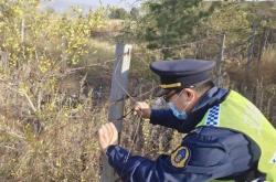 赤峰寵物隔離政策查詢電話號碼