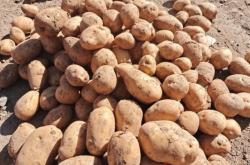 赤峰粘合劑直銷店電話號碼