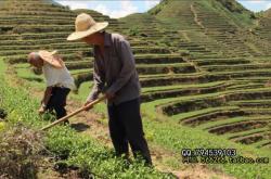 赤峰祥華茶葉店地址電話號碼