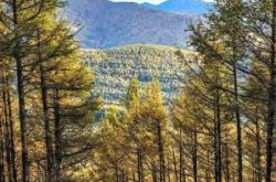 赤峰寶澤凱迪電話號碼查詢