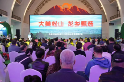 赤峰市松山區(qū)國稅局