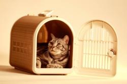 赤峰貓咪籠養(yǎng)殖場地址電話號碼