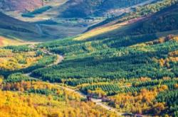 赤峰乾旭商貿(mào)有限公司電話號碼