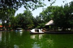 赤峰植物批發(fā)市場電話地址查詢